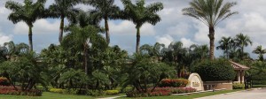 Landscaping Services