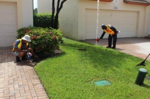 A man is working on the lawn of his house.