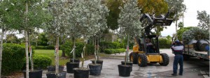 Landscape_management