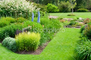 A garden with many plants and flowers in the grass.