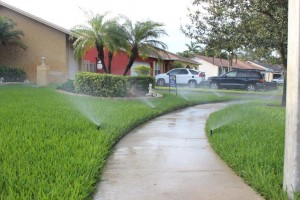 A sidewalk with grass growing on it and sprinklers spraying water.