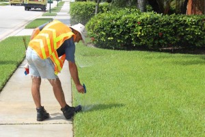 A man in an orange vest spraying water on the grass.