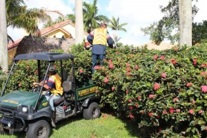 A man on top of a golf cart next to bushes.