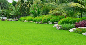 Broward Lawn