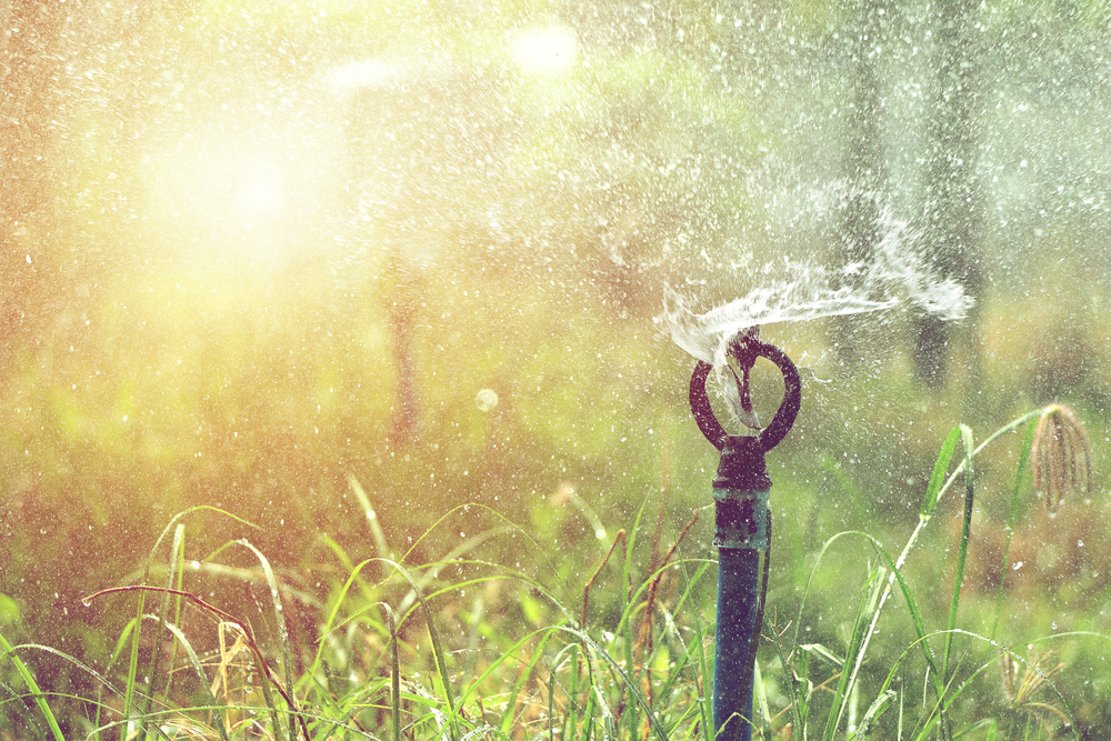 professional irrigation systems