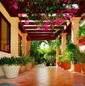 A patio with potted plants and flowers on the roof.