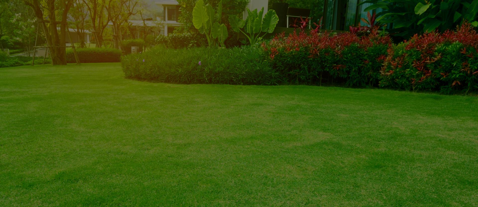 Lush garden with green grass and shrubs.