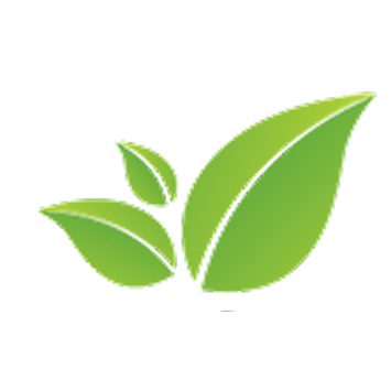 Three green leaves on a white background.