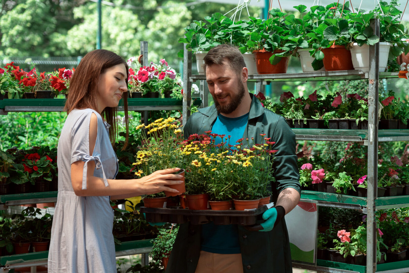 Woman and man selecting potted flowers together.
