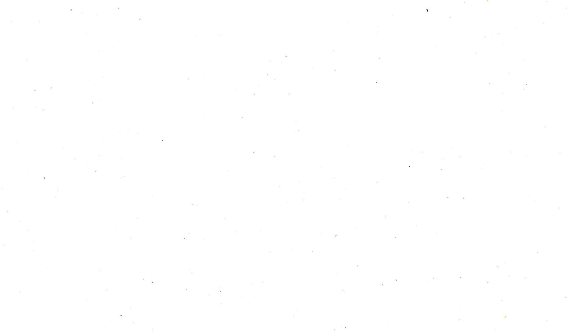 Plain white background with subtle speckles.
