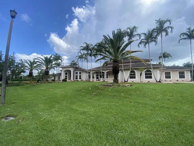 Large white house with a green lawn and palm trees under a blue sky.