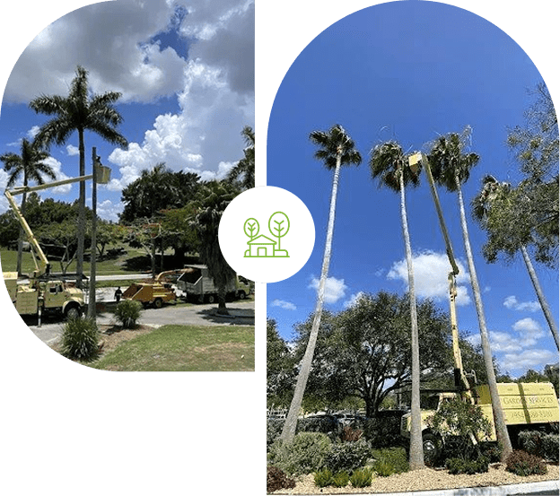 Tall palm trees under a partly cloudy sky in a suburban neighborhood.