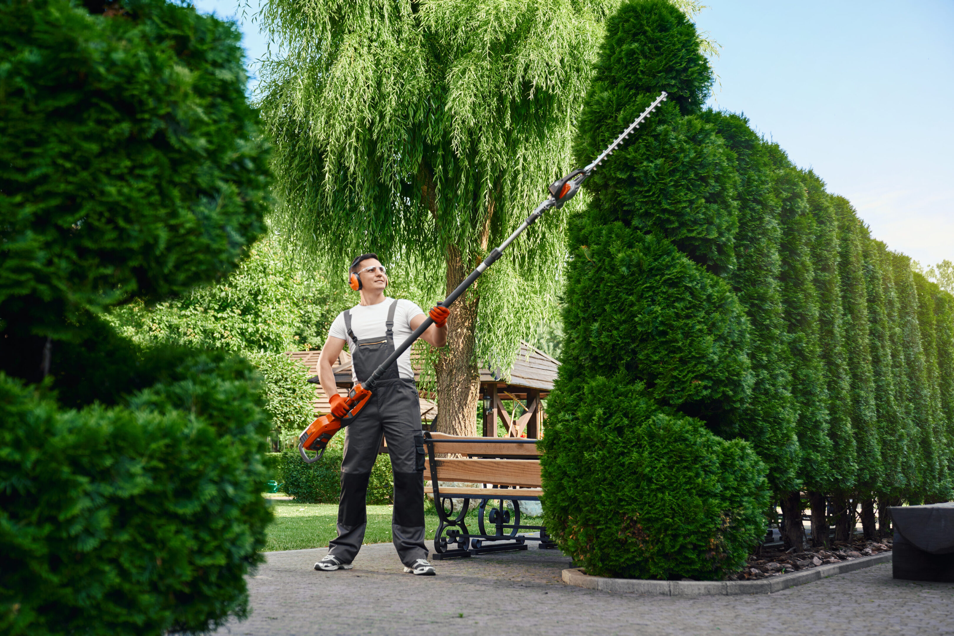 Man trimming a tall hedge with long-handled shears in a garden.