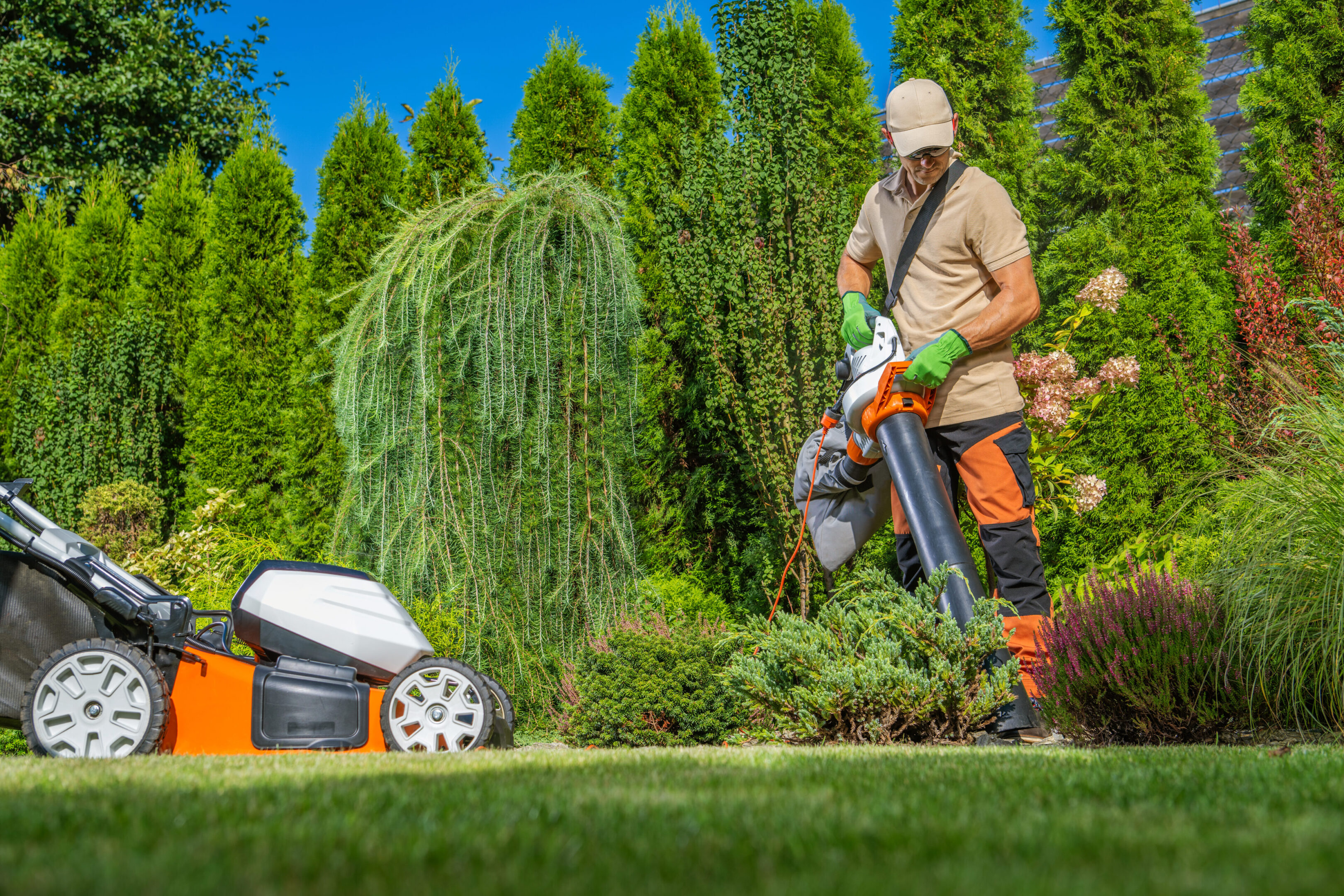 Person using a leaf blower in a green garden.