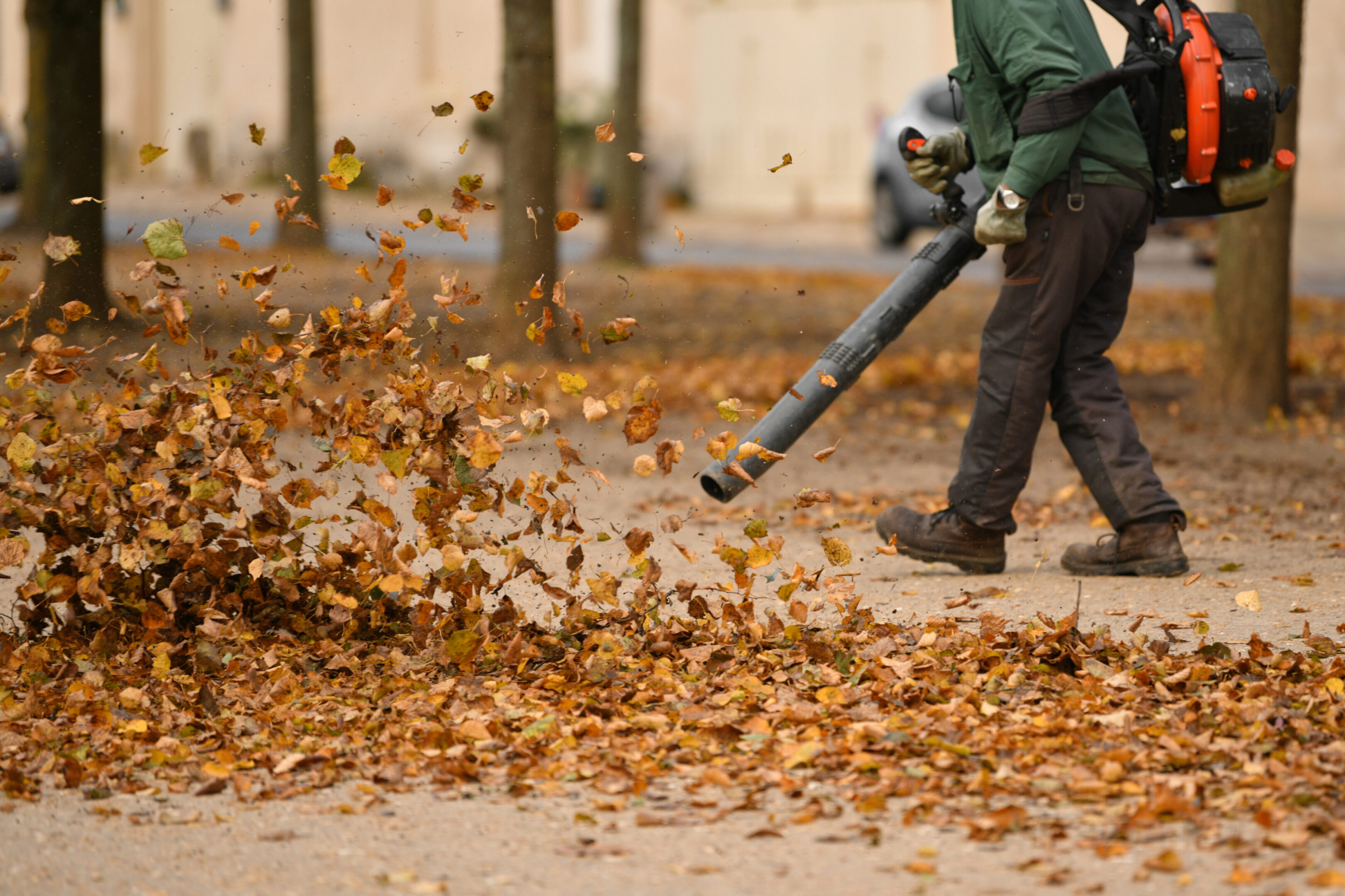 Person using a leaf blower to clear fallen leaves.