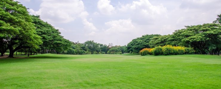 A vast green field under a partly cloudy sky.