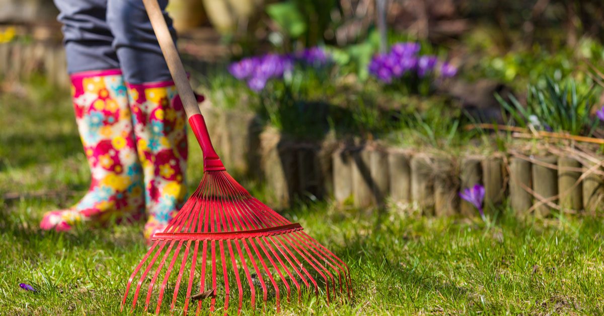 A red leaf rake resting on green grass with blurred flowers in the background.