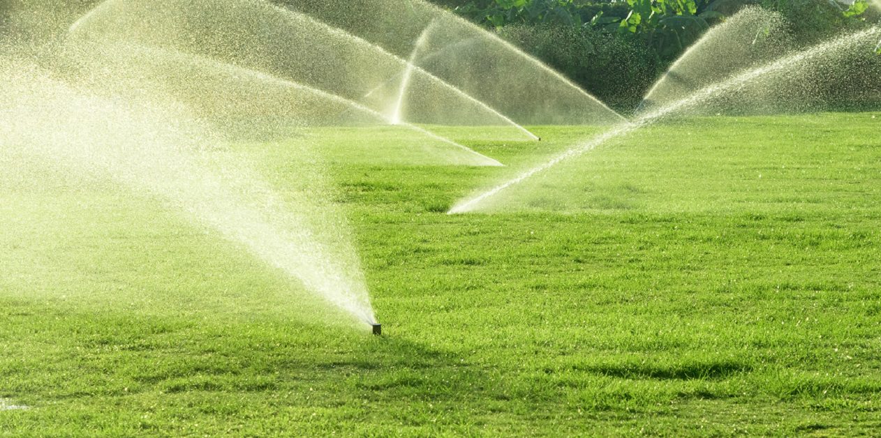 Sprinklers watering a lush green lawn on a sunny day.