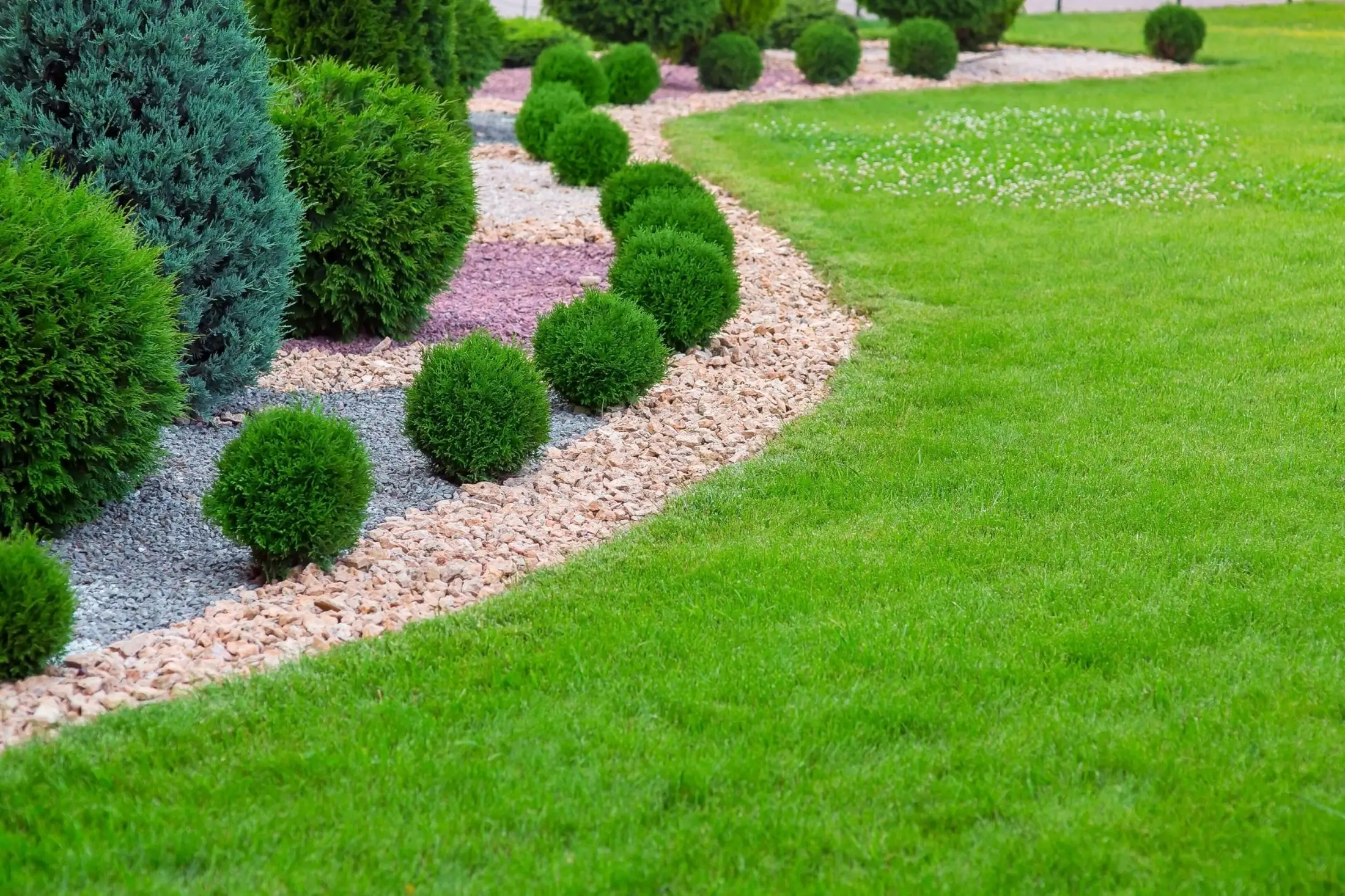 A manicured garden edge with rounded bushes and a gravel border.