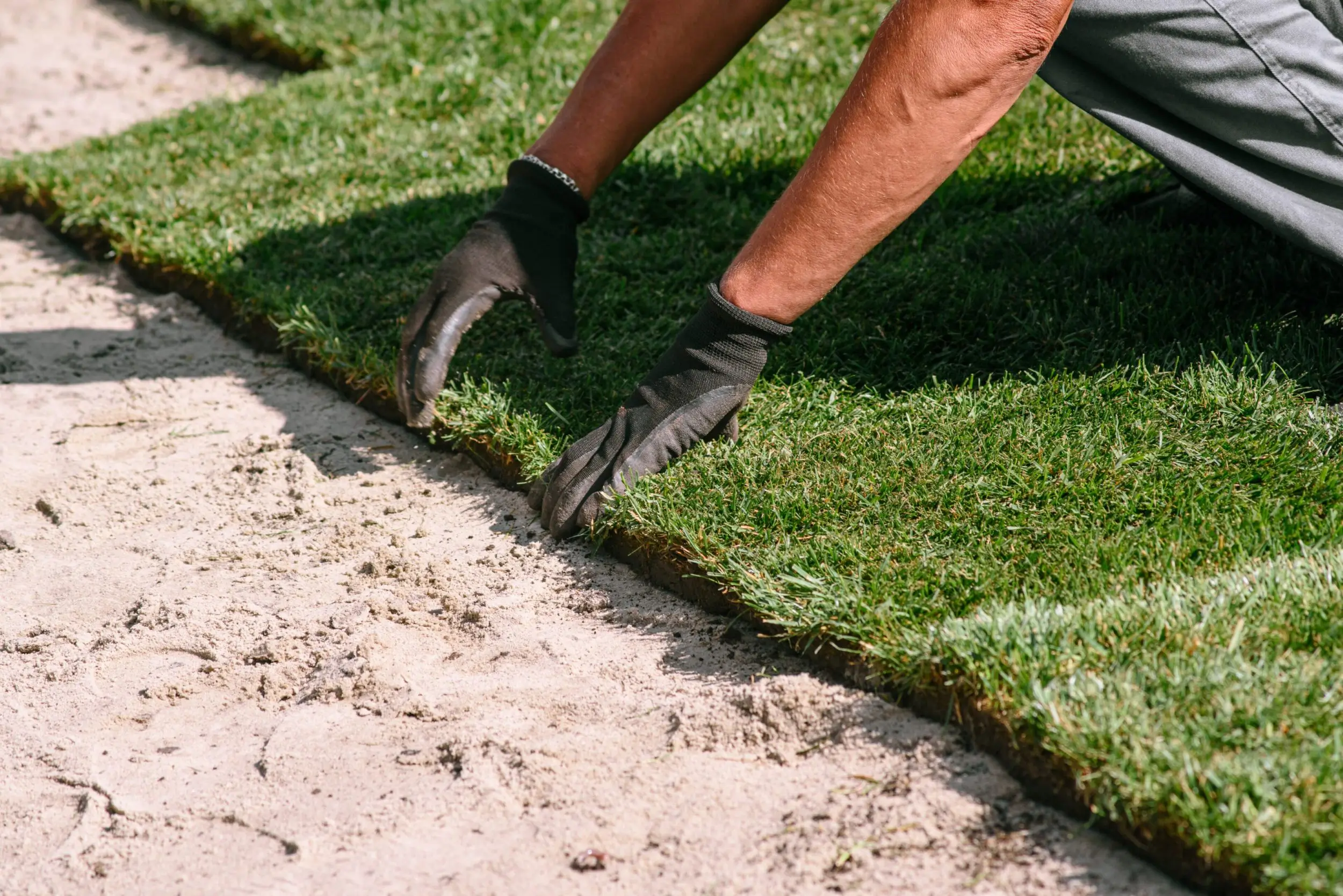 Hands laying sod on soil to create a new lawn.